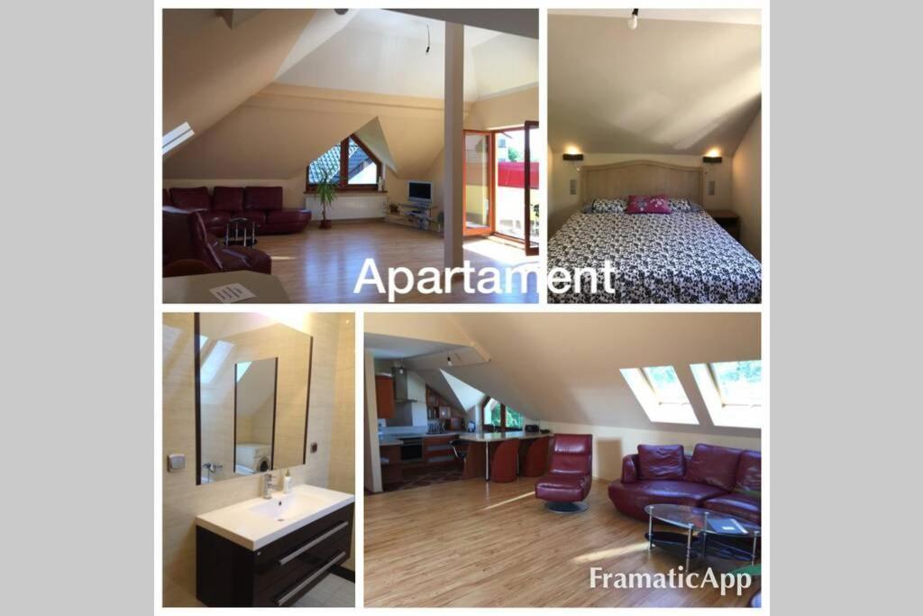 Maximo - 50m From The Apartment